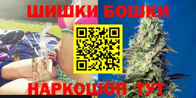 тгк Славгород