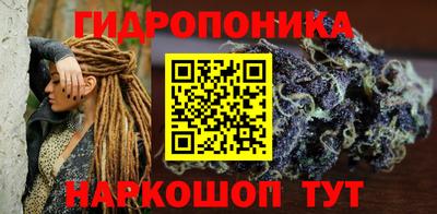 тгк Славгород
