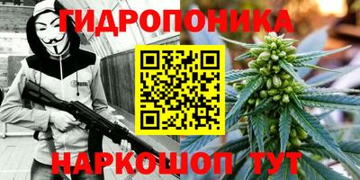 амф Славянск-на-Кубани