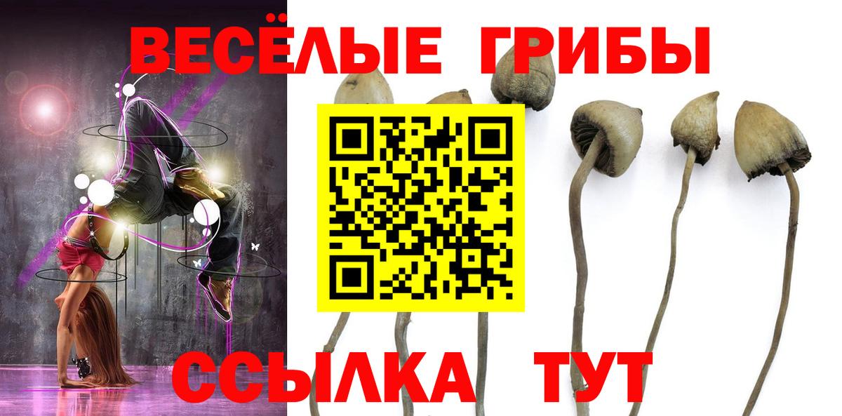 Галлюциногенные грибы прущие грибы  Галлюциногенные грибы прущие грибы  Вятские Поляны  Вход с VPN 